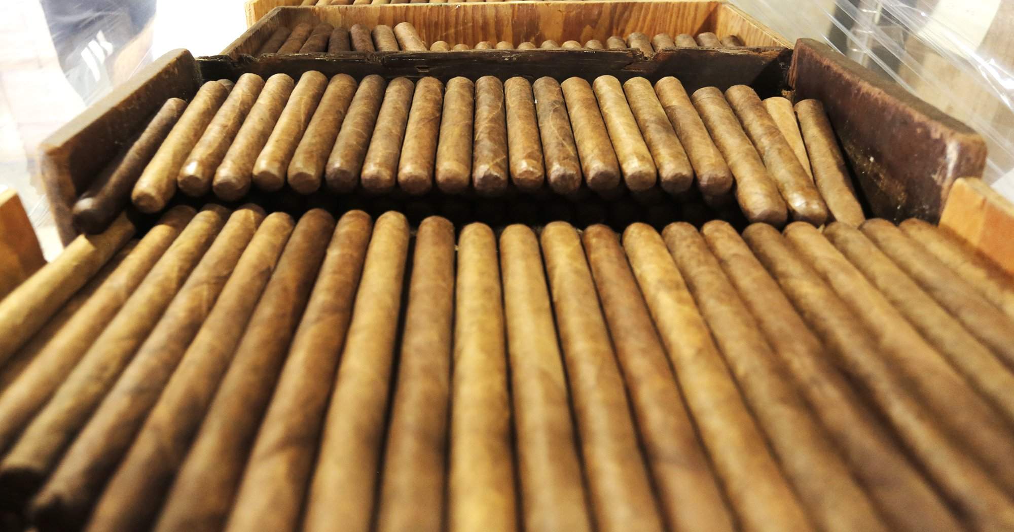 Trends in the Cigar Industry